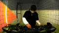 Thumbnail for version as of 00:48, 27 April 2026