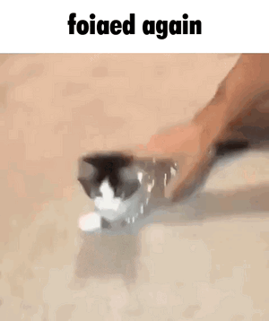 This aluminum-foil-wrapped-cat flops over helplessly again and again in this delightful animated GIF.