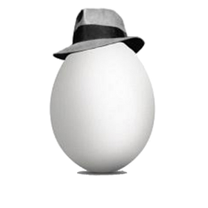 NewEgg.png